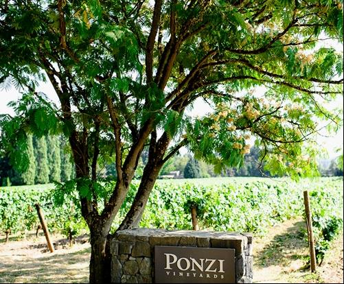 Ponzi Vineyards, Oregon
