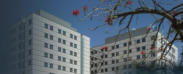 羅納德•雷根醫學中心（加利福尼亞州）