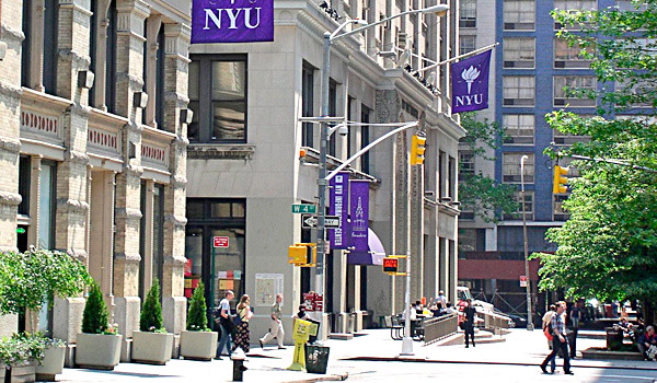 紐約大學New York University
