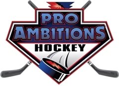 Pro Ambitions Hockey Camps – Texas
