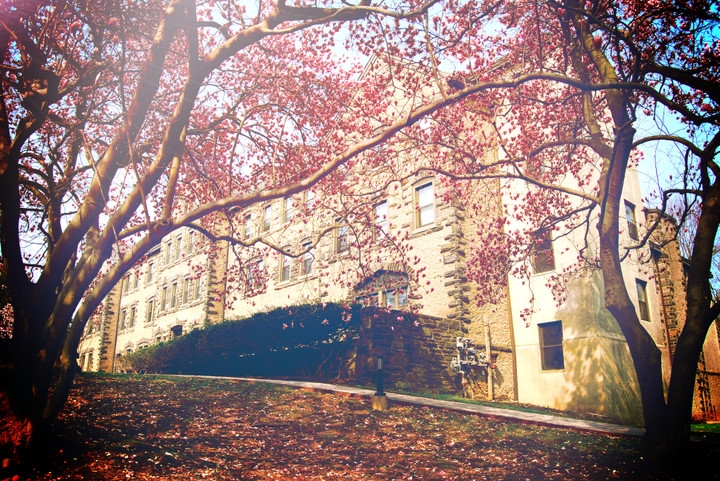布林茅尔学院, 宾夕法尼亚州, Bryn Mawr College, Pennsylvania