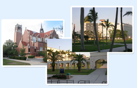 佛罗里达大学, 佛罗里达州, University of Florida, Florida