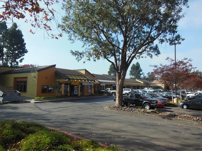 250 E. Java Drive, Sunnyvale, CA 94089; Neighborhood Center For Sale; D-3 in Santa Clara County
