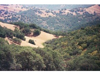 0 Jamieson Rd. , Gilroy 95020; Sold commercial land; in Santa Clara County