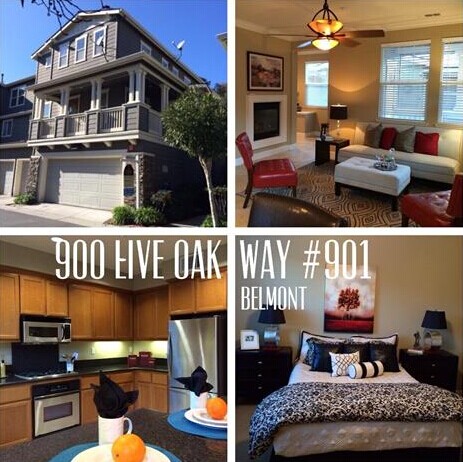 900 Live Oak Way ,#901, Belmont 94002