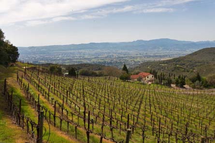 酒庄投资-Napa Valley Vineyard and Winery For Sale – Wine Cave