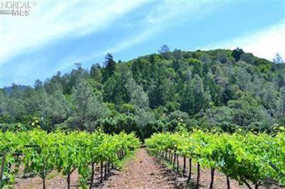 酒庄投资-成交记录- 4125 Silverado Trl Calistoga, CA 94515; winery and vineyards; 24/68 in Napa County