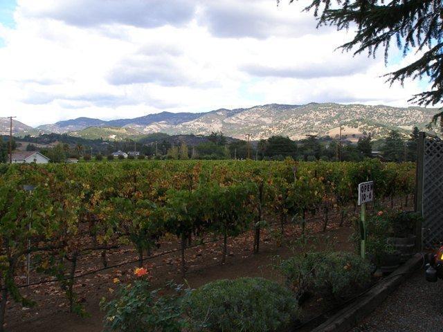 酒庄投资-Napa Valley Winery & Vineyard For Sale – Silverado Trail