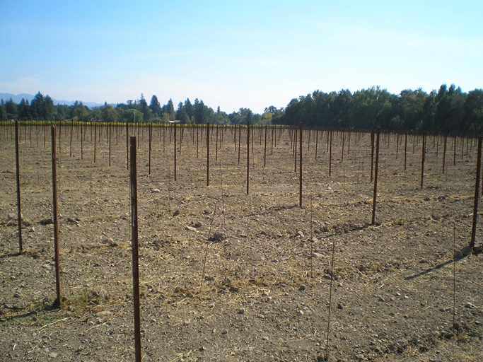 酒庄投资-成交记录- 4095 Silverado Trl Napa, CA 94558; winery and vineyards; 29/68 in Napa County