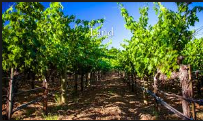 酒庄投资-成交记录-2125 Inglewood Ave., Saint Helena, CA 94574; winery and vineyards; 2/68 in Napa County