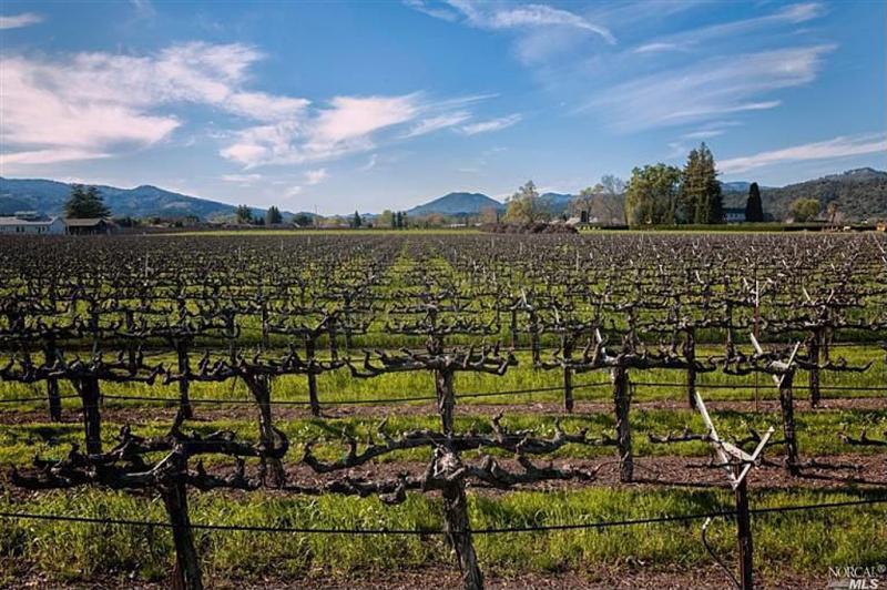 酒庄投资-50,000 Gallon Winery Site & Cabernet Sauvignon Vineyard For Sale – Napa Valley