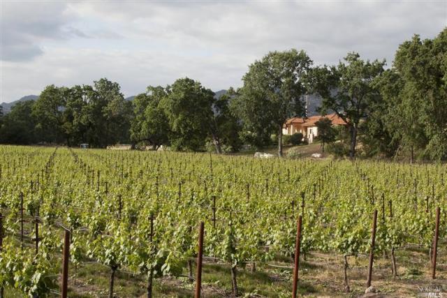 酒庄投资-Napa Valley 50K Case Winery Site For Sale – Silverado Trail