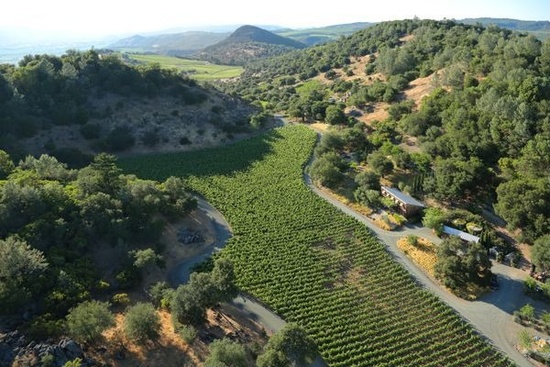 酒庄投资-成交记录- Soda Canyon Rd Napa, CA 94558; winery and vineyards; 22/68 in Napa County