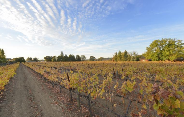 酒庄投资-成交记录-1121 Orchard Ave – Unique Napa Vineyard Napa, CA 94558; winery and vineyards; 47/68 in Napa County