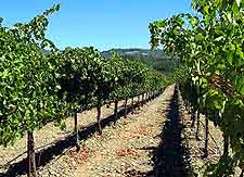 酒庄投资-成交记录-8350 St Helena Hwy – Sawyer Cellars Rutherford, CA 94558; winery and vineyards; 36/68 in Napa County