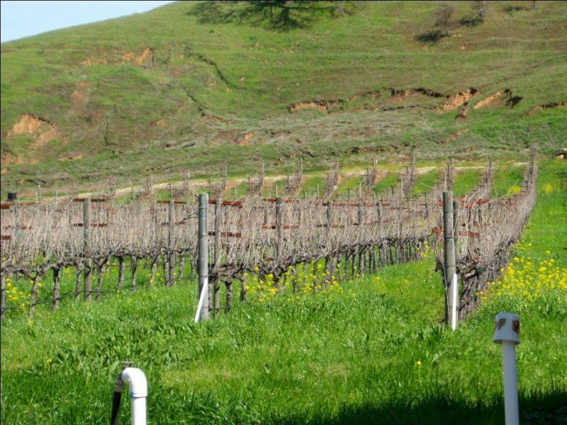 酒庄投资-成交记录-5270 Chiles Pope Valley Rd – Pope Valley Vineyards Saint Helena, CA 94574; winery and vineyards; 45/68 in Napa County