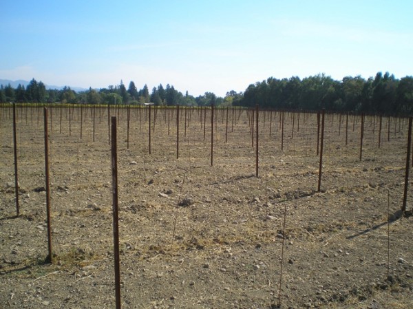 酒庄投资-成交记录-4095 Silverado Trl Napa, CA 94558; winery and vineyards; 39/68 in Napa County
