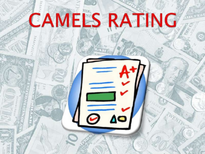 CAMEL – 駱駝信用評級指標體系