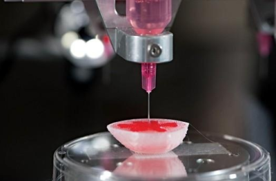 美国科学家利用3D打印技术成功培育人体器官