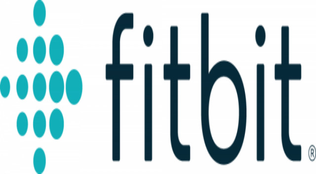 Fitbit; 湾区高科技公司; 91/100